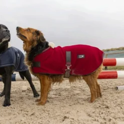 Manteaux*Diego & Louna - Couverture pour chien polaire Teddy 280g Bordeaux