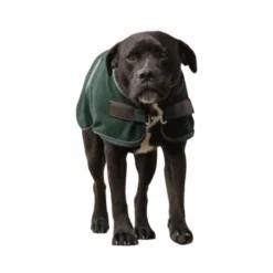 Manteaux*Diego & Louna - Couure pour chien polaire 280g Vert