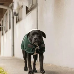 Manteaux*Diego & Louna - Couure pour chien polaire 280g Vert