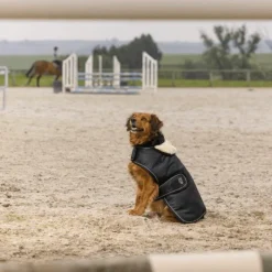 Sale - Couverture pour chien nylon 0g Manteaux