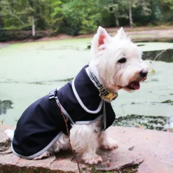 Manteaux*Diego & Louna - Manteau pour chiens softshell 0g Noir