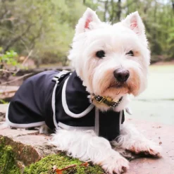 Manteaux*Diego & Louna - Manteau pour chiens softshell 0g Noir