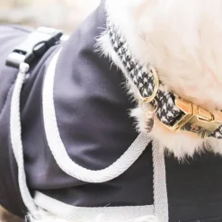 Manteaux*Diego & Louna - Manteau pour chiens softshell 0g Noir