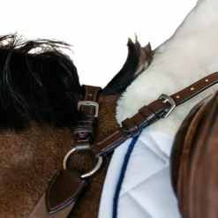 Sale - Bricole élastique New English Collection Bricoles|Accessoires De Selles