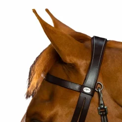 New - Bridon cuir plat avec mousquetons Working by Bridons Poneys|Bridons