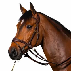 New - Bridon D Motion D Collection têtière anatomique Bridons Poneys|Bridons