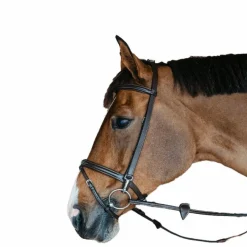 Bridons Poneys|Bridons*Dyon - Bridon de travail Working by cuir Havane