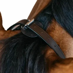 Bridons Poneys|Bridons*Dyon - Bridon de travail Working by cuir Havane