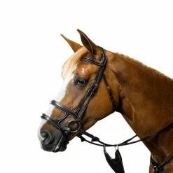 Bridons Poneys|Bridons*Dyon - Bridon double muserolle D Collection Noir