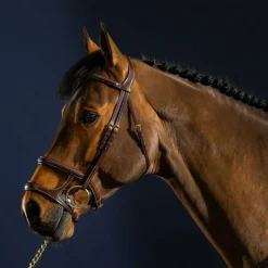 Sale - Bridon double muserolle D Collection Bridons Poneys|Bridons