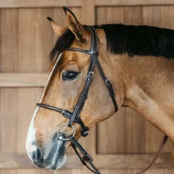 - Bridon en cuir rond Working By Dy'on têtière anatomique Bridons Poneys|Bridons