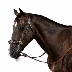 Bridons Poneys|Bridons*Dyon - Bridon hackamore US Collection Havane