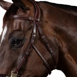 Bridons Poneys|Bridons*Dyon - Bridon hackamore US Collection Havane