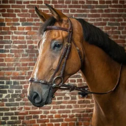 Hot - Bridon muserolle allemande ajustable D Collection Bridons Poneys|Bridons