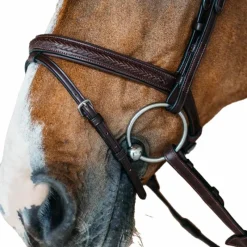 Bridons Poneys|Bridons*Dyon - Bridon muserolle combinée New English cuir Havane