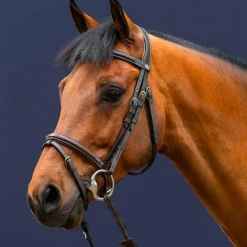 Bridons Poneys|Bridons*Dyon - Bridon muserolle combinée Working by Havane