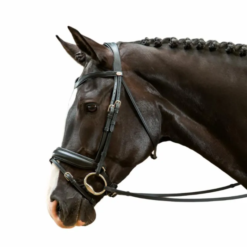 Bridons Poneys|Bridons*Dyon - Bridon muserolle combinée large Working by Noir