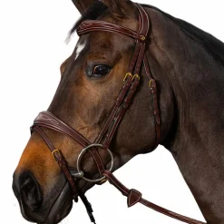 Bridons Poneys|Bridons*Dyon - Bridon muserolle combinée anatomique D Collection Havane