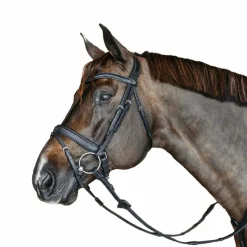 Bridons Poneys|Bridons*Dyon - Bridon muserolle combinée large new English tressé pull back cuir Noir