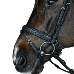 Bridons Poneys|Bridons*Dyon - Bridon muserolle combinée large new English tressé pull back cuir Noir