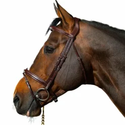 Bridons Poneys|Bridons*Dyon - Bridon muserolle combinée New English Collection Havane