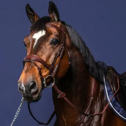 Bridons Poneys|Bridons*Dyon - Bridon muserolle combinée anatomique New English Collection Havane