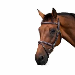 Bridons*Dyon - Bridon muserolle combinée Dy'on Collection Marron