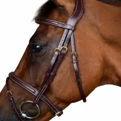 Bridons*Dyon - Bridon muserolle combinée Dy'on Collection Marron