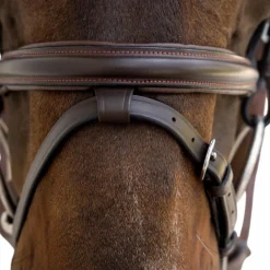 Bridons Poneys|Bridons*Dyon - Bridon muserolle combinée Flash Marron