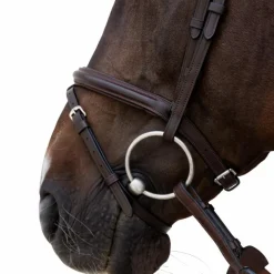 Bridons Poneys|Bridons*Dyon - Bridon muserolle combinée Flash Marron