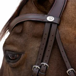 Bridons Poneys|Bridons*Dyon - Bridon muserolle combinée Flash Marron