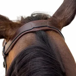 Bridons Poneys|Bridons*Dyon - Bridon muserolle combinée Flash Marron