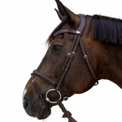 Bridons Poneys|Bridons*Dyon - Bridon muserolle combinée Flash Marron