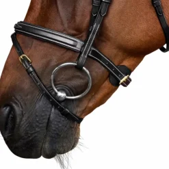 Bridons*Dyon - Bridon muserolle combinée Dy'on Collection Noir