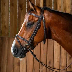 Bridons Poneys|Bridons*Dyon - Bridon muserolle combinée avec mousqueton Working by Havane