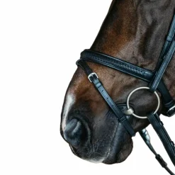 Bridons Poneys|Bridons*Dyon - Bridon muserolle combinée New English cuir Noir