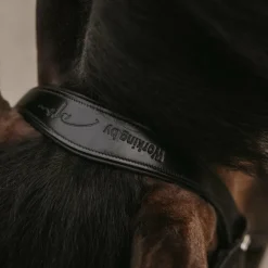 Bridons Poneys|Bridons*Dyon - Bridon muserolle combinée large vernie Working By Noir