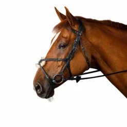 Bridons Poneys|Bridons*Dyon - Bridon muserolle croisée New English Collection Noir