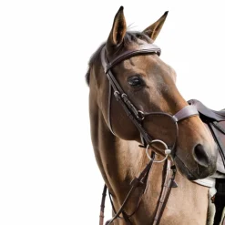 Bridons Poneys|Bridons*Dyon - Bridon muserolle hybride New English Collection Havane