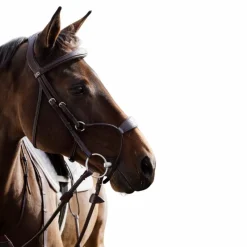 Bridons Poneys|Bridons*Dyon - Bridon muserolle hybride New English Collection Havane