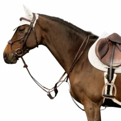 Bridons Poneys|Bridons*Dyon - Bridon muserolle hybride New English Collection Havane