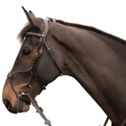 Bridons Poneys|Bridons*Dyon - Bridon muserolle hybride D Collection Havane