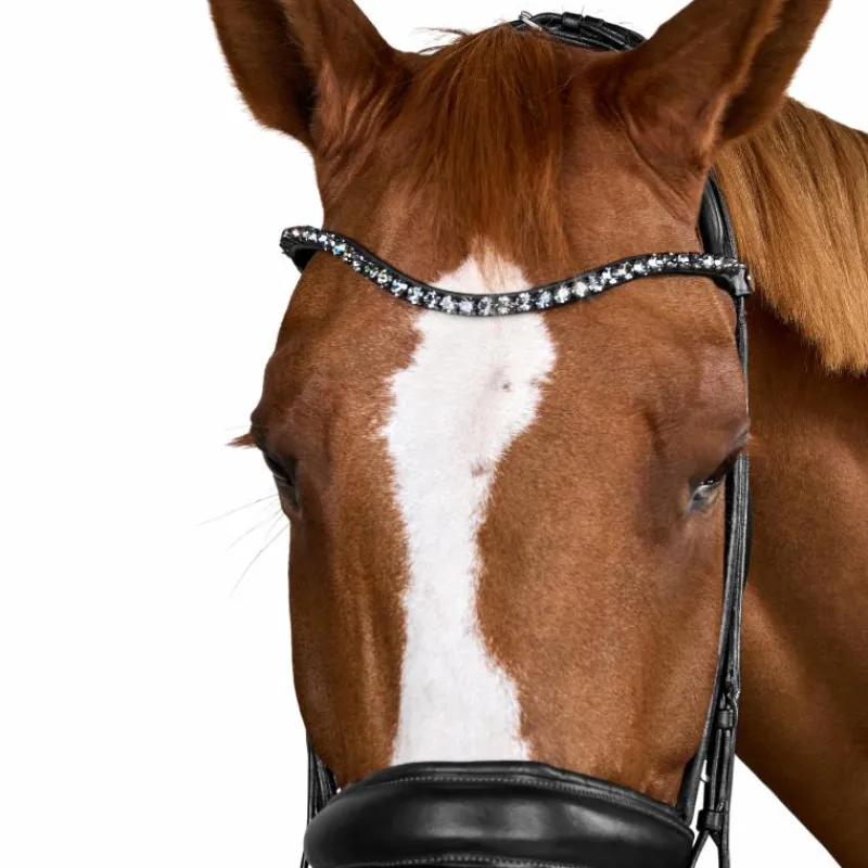 Bridons Poneys|Bridons*Dyon - Bridon muserolle large Round avec frontal à cristaux Noir