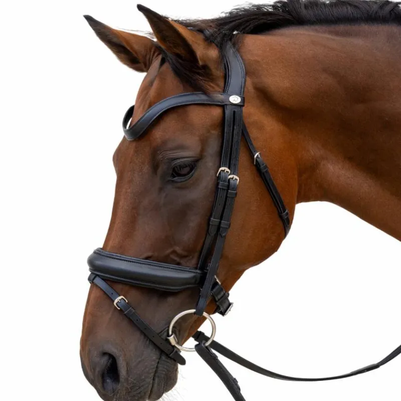 Bridons Poneys|Bridons*Dyon - Bridon muserolle Medium Noir