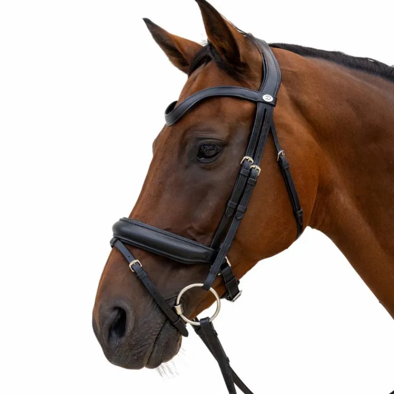 Bridons Poneys|Bridons*Dyon - Bridon muserolle Medium Noir