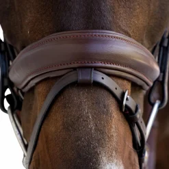 - Bridon muserolle Medium Bridons Poneys|Bridons