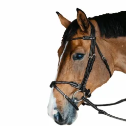 Bridons Poneys|Bridons*Dyon - Bridon muserolle tressée sous-barbe amovible cuir Noir