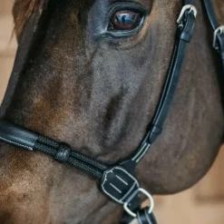 - Bridon sans mors Working by Dy'on Bridons Poneys|Bridons