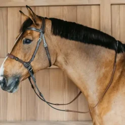 Bridons Poneys|Bridons*Dyon - Bridon sans mors Working by Dy'on Havane