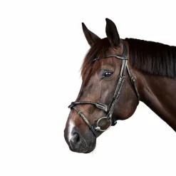 Bridons*Dyon - Bridon tressé avec noseband amovible New English Collection Noir